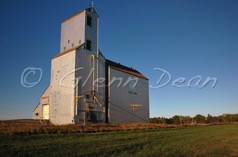 Lowe Farm
August 2006